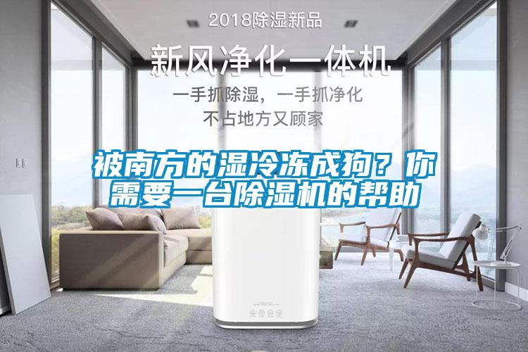 被南方的湿冷冻成狗？你需要一台黄瓜视频下载污机的帮助