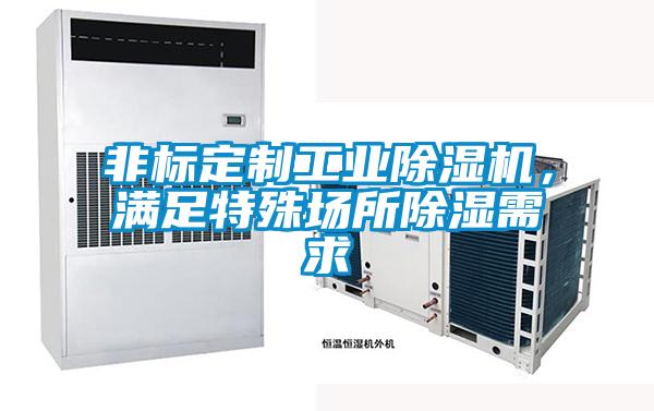 非标定制工业黄瓜视频下载污机，满足特殊场所黄瓜视频下载污需求