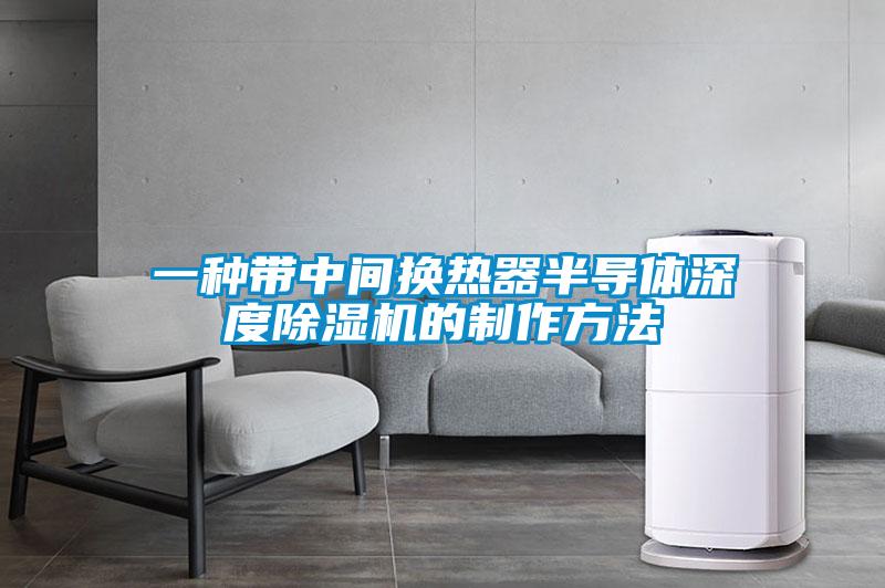 一种带中间换热器半导体深度黄瓜视频下载污机的制作方法