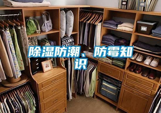 黄瓜视频下载污防潮、防霉知识