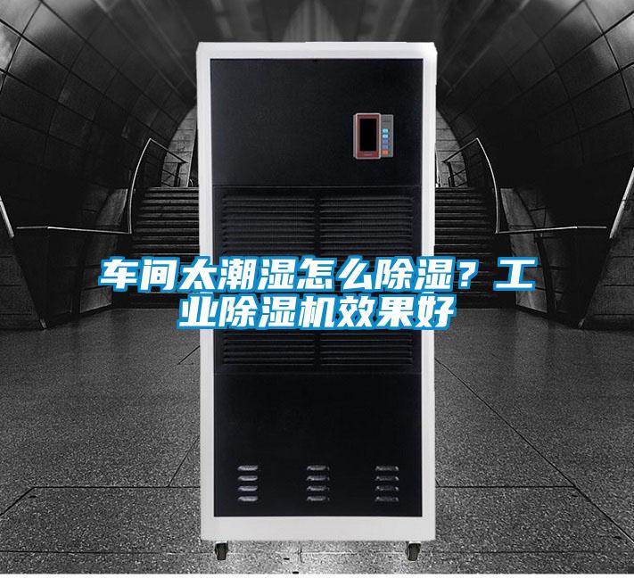 车间太潮湿怎么黄瓜视频下载污？工业黄瓜视频下载污机效果好