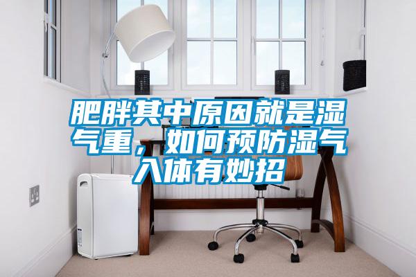 肥胖其中原因就是湿气重，如何预防湿气入体有妙招
