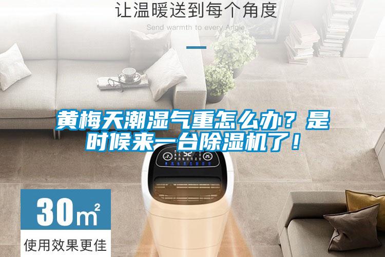 黄梅天潮湿气重怎么办？是时候来一台黄瓜视频下载污机了！