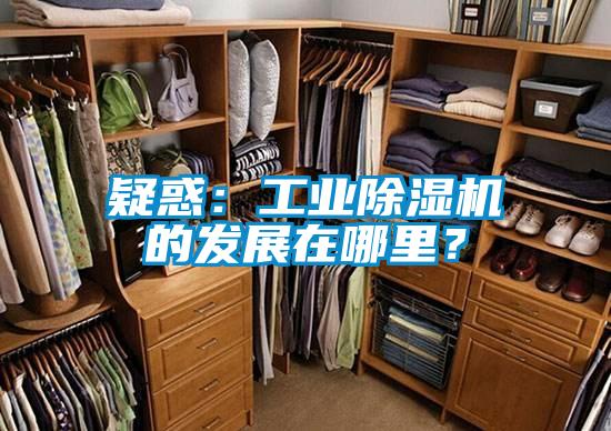 疑惑：工业黄瓜视频下载污机的发展在哪里？