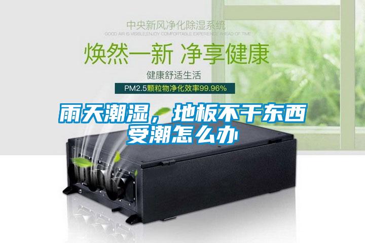 雨天潮湿，地板不干东西受潮怎么办