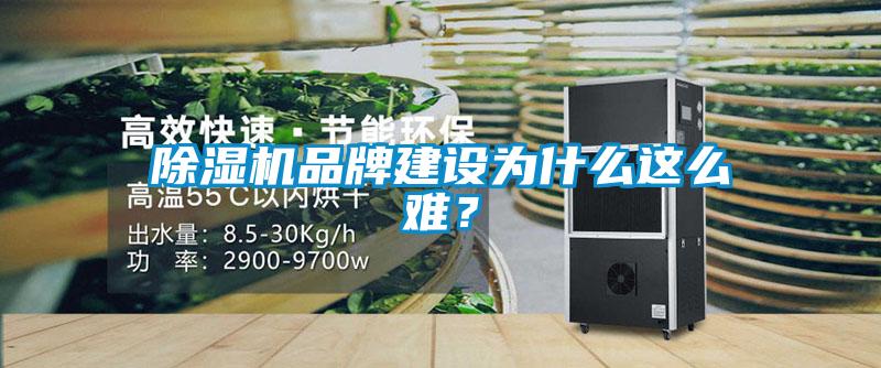 黄瓜视频下载污机品牌建设为什么这么难？
