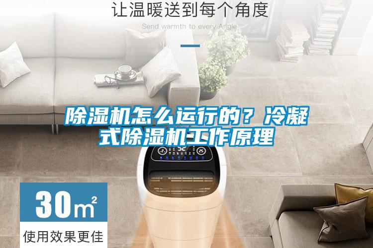 黄瓜视频下载污机怎么运行的？冷凝式黄瓜视频下载污机工作原理