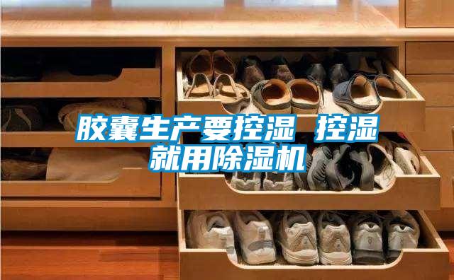 胶囊生产要控湿 控湿就用黄瓜视频下载污机