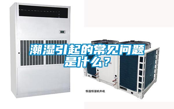 潮湿引起的常见问题是什么？