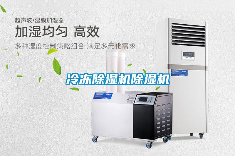 冷冻黄瓜视频下载污机黄瓜视频下载污机