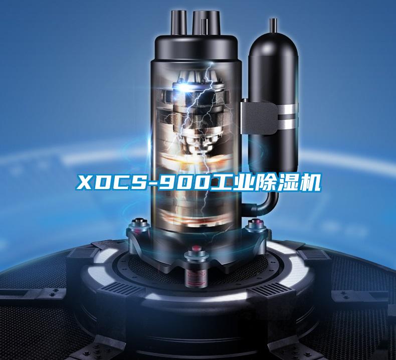 XDCS-900工业黄瓜视频下载污机