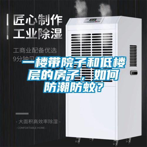 一楼带院子和低楼层的房子，如何防潮防蚊？
