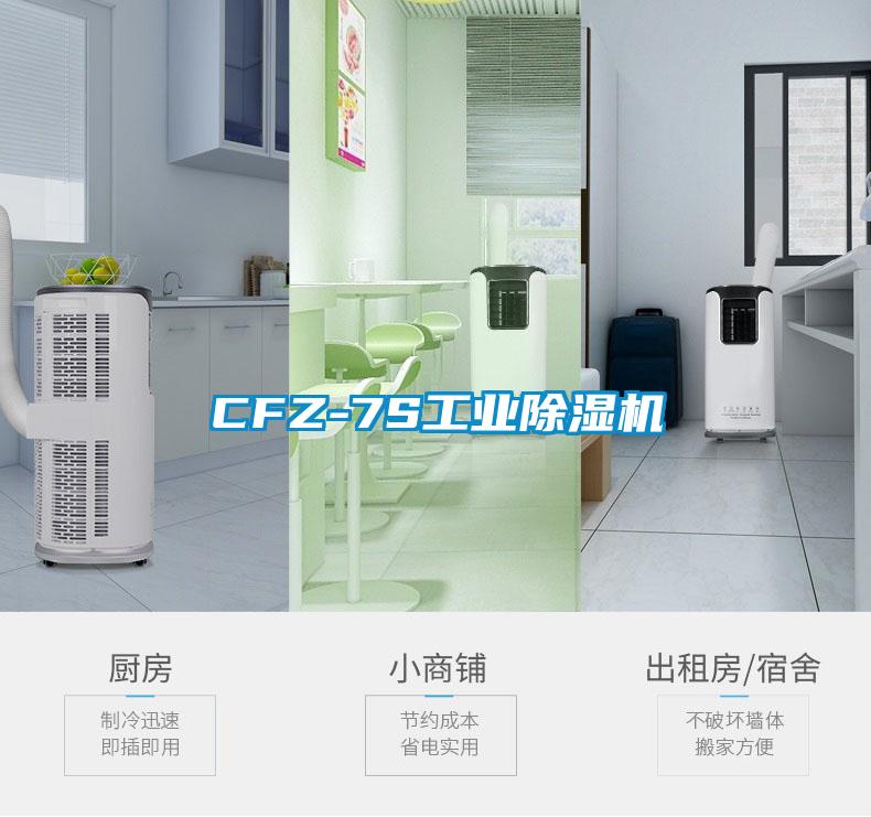 CFZ-7S工业黄瓜视频下载污机