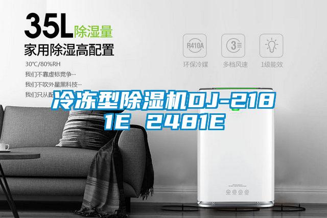 冷冻型黄瓜视频下载污机DJ-2181E 2481E