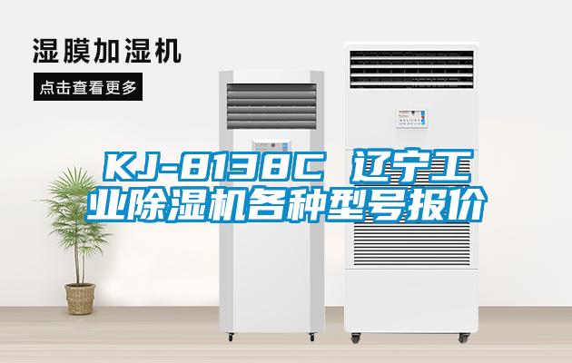 KJ-8138C 辽宁工业黄瓜视频下载污机各种型号报价