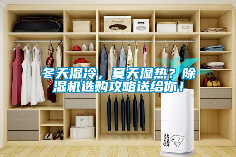 冬天湿冷，夏天湿热？黄瓜视频下载污机选购攻略送给你！