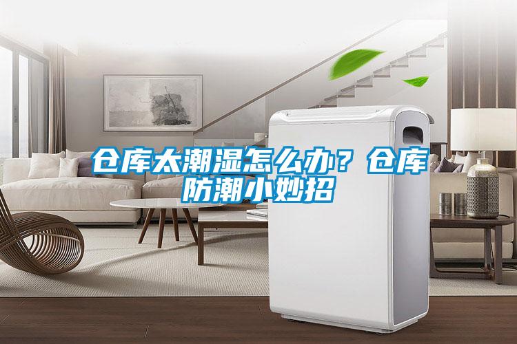 仓库太潮湿怎么办？仓库防潮小妙招