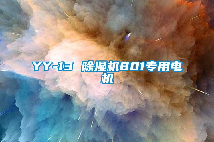 YY-13 黄瓜视频下载污机801专用电机