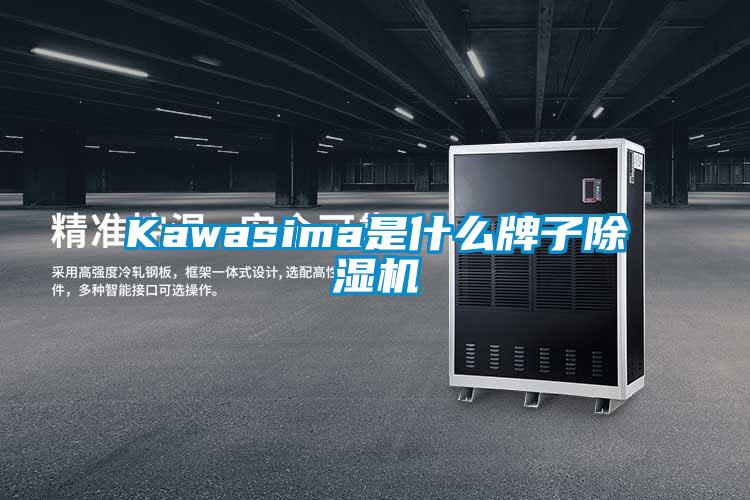 Kawasima是什么牌子黄瓜视频下载污机