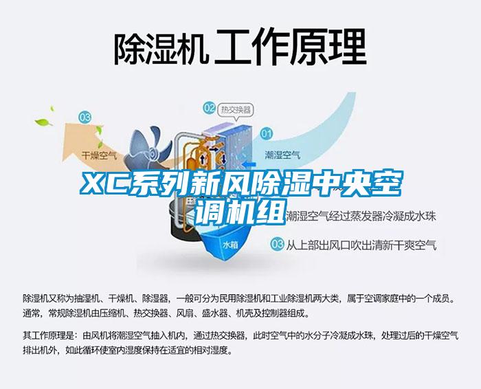 XC系列新风黄瓜视频下载污中央空调机组