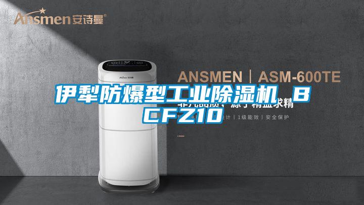 伊犁防爆型工业黄瓜视频下载污机 BCFZ10