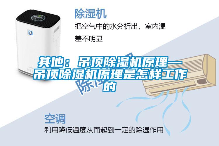 其他：吊顶黄瓜视频下载污机原理—吊顶黄瓜视频下载污机原理是怎样工作的
