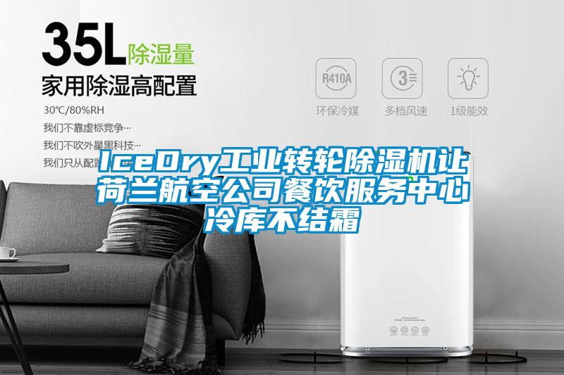 IceDry工业转轮黄瓜视频下载污机让荷兰航空公司餐饮服务中心冷库不结霜
