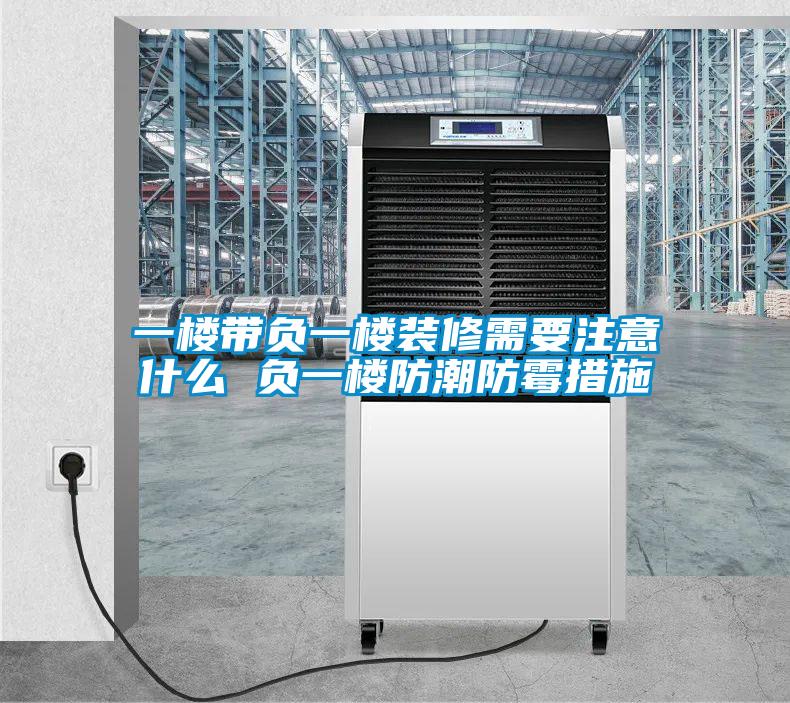 一楼带负一楼装修需要注意什么 负一楼防潮防霉措施