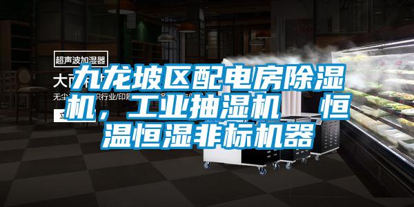 九龙坡区配电房黄瓜视频下载污机，工业抽湿机  恒温恒湿非标机器