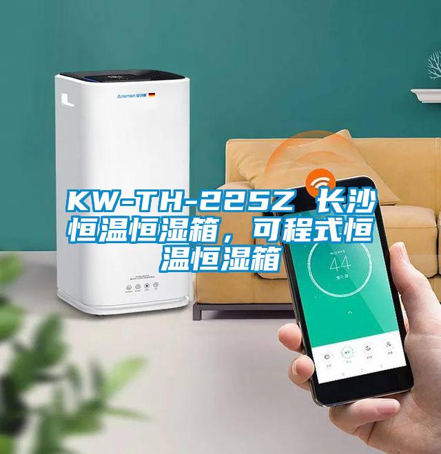 KW-TH-225Z 长沙恒温恒湿箱，可程式恒温恒湿箱