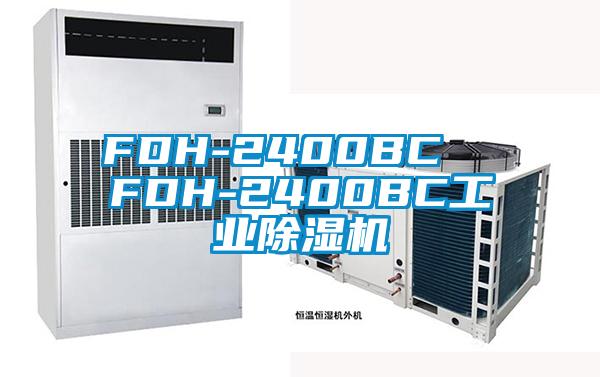 FDH-2400BC  FDH-2400BC工业黄瓜视频下载污机