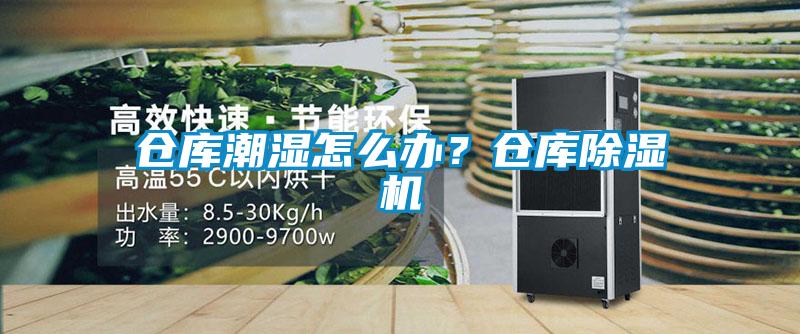 仓库潮湿怎么办？仓库黄瓜视频下载污机