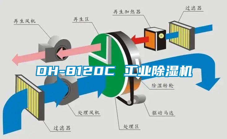 DH-8120C 工业黄瓜视频下载污机