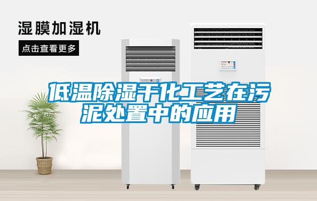 低温黄瓜视频下载污干化工艺在污泥处置中的应用