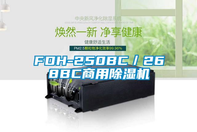 FDH-250BC／268BC商用黄瓜视频下载污机