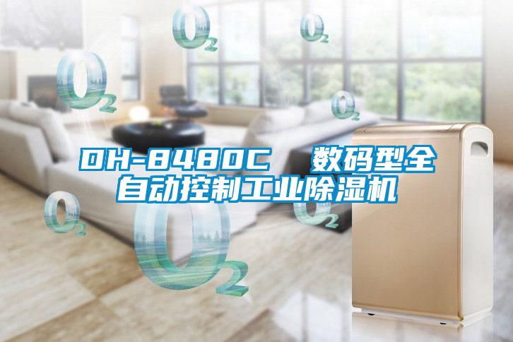 DH-8480C  数码型全自动控制工业黄瓜视频下载污机