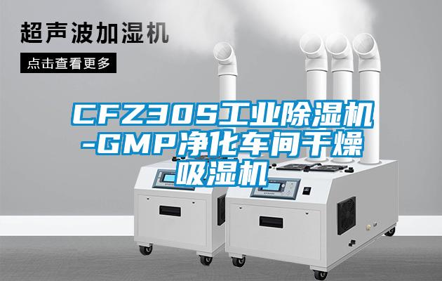 CFZ30S工业黄瓜视频下载污机-GMP净化车间干燥吸湿机