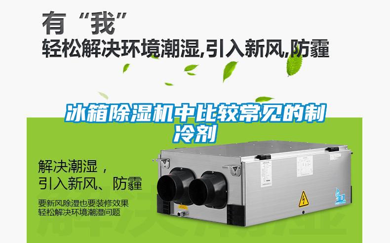 冰箱黄瓜视频下载污机中比较常见的制冷剂