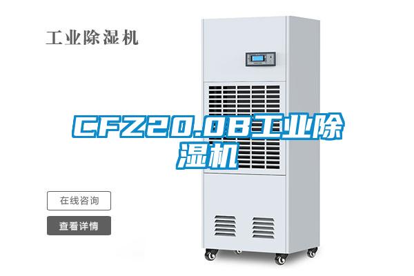 CFZ20.0B工业黄瓜视频下载污机