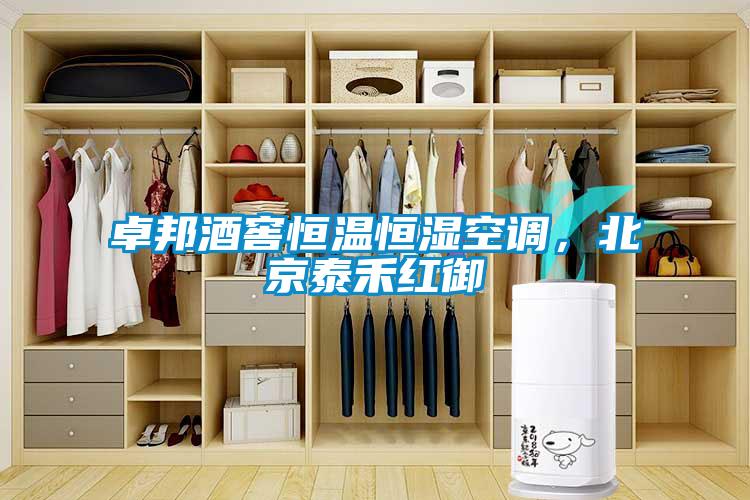 卓邦酒窖恒温恒湿空调，北京泰禾红御