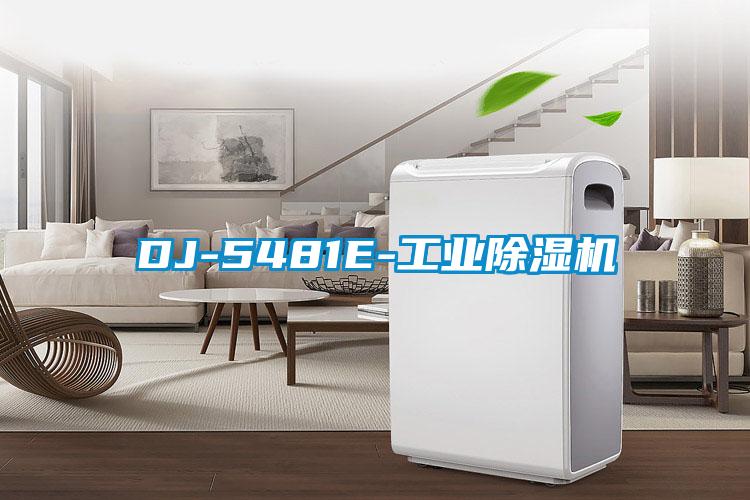 DJ-5481E-工业黄瓜视频下载污机