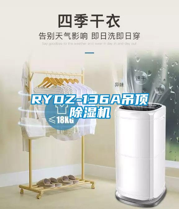 RYDZ-136A吊顶黄瓜视频下载污机