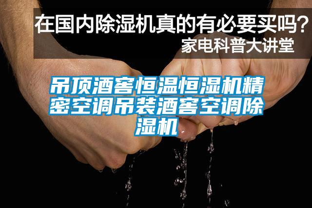 吊顶酒窖恒温恒湿机精密空调吊装酒窖空调黄瓜视频下载污机