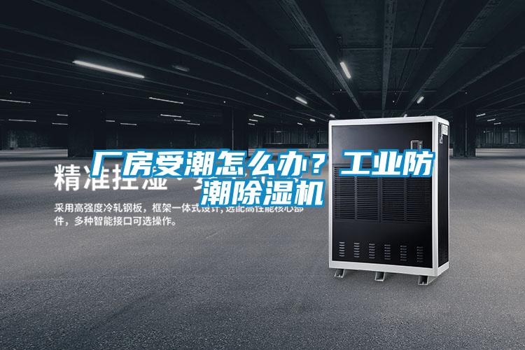 厂房受潮怎么办？工业防潮黄瓜视频下载污机