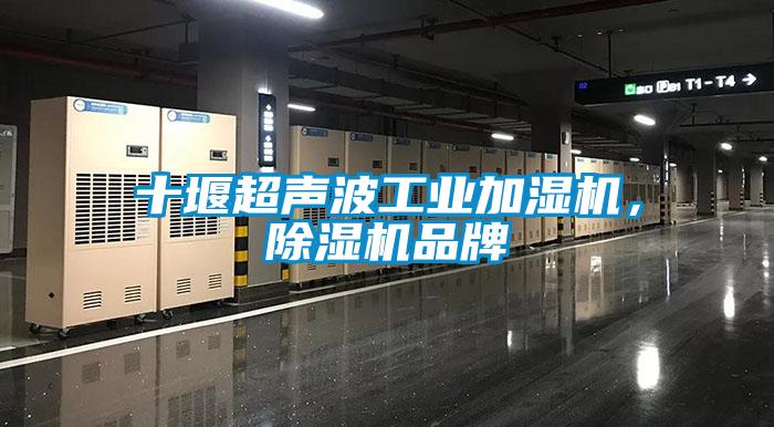 十堰超声波工业加湿机，黄瓜视频下载污机品牌