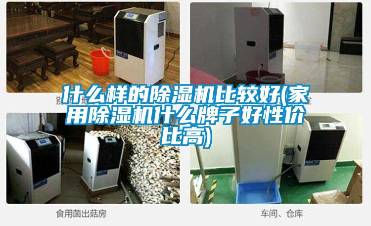 什么样的黄瓜视频下载污机比较好(家用黄瓜视频下载污机什么牌子好性价比高)