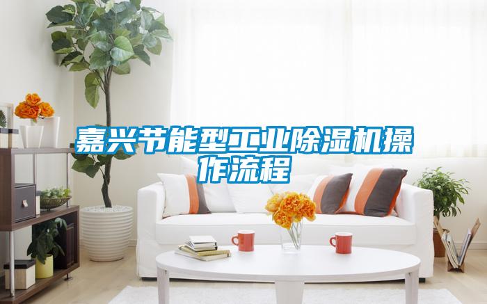 嘉兴节能型工业黄瓜视频下载污机操作流程