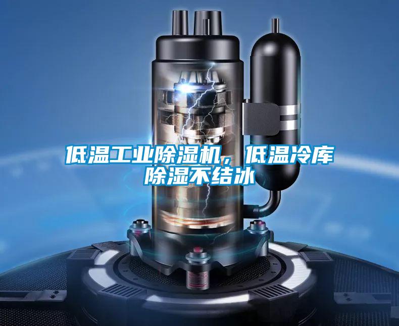 低温工业黄瓜视频下载污机，低温冷库黄瓜视频下载污不结冰