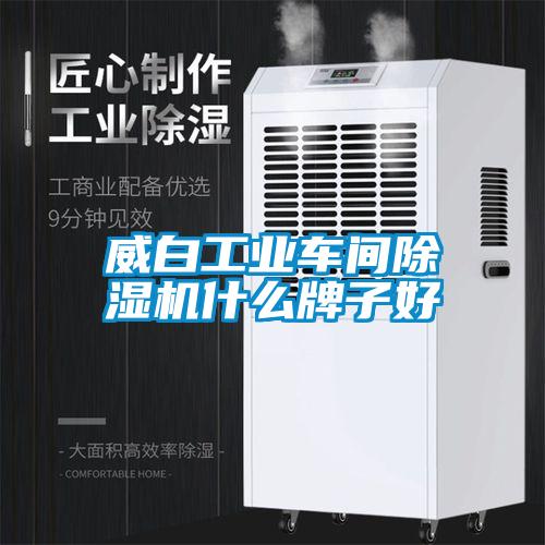 威白工业车间黄瓜视频下载污机什么牌子好