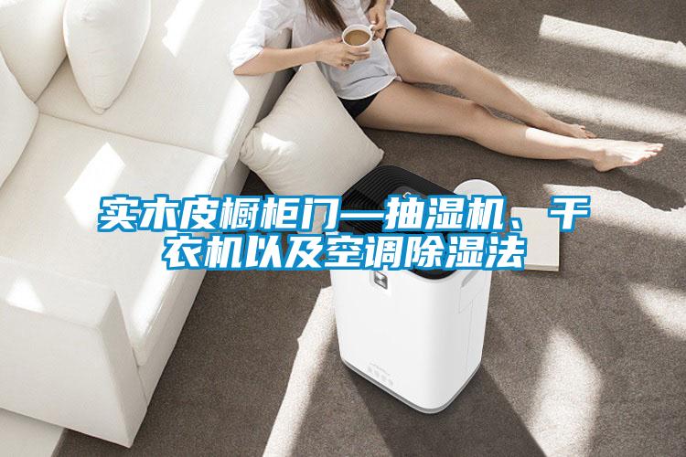 实木皮橱柜门—抽湿机、干衣机以及空调黄瓜视频下载污法